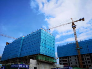 期待已久的青春里將于7月10 19日限量發(fā)售vip認(rèn)籌卡,7月21日盛大開(kāi)盤(pán)